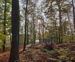 FriedWald Mühlenbecker Land Bild 2
