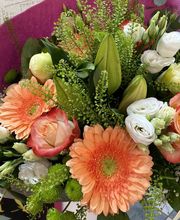 Morisset Sylvie image 12