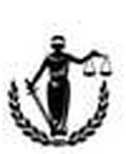 Guillouet Martial image 5