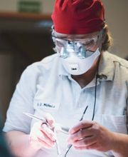 Tierarzt Möhnle Kehl, Fachtierärztliches Zentrum für Kleintiere Kehl-Hanauerland Bild 8