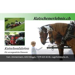 Kutschenerlebnis