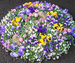 Blumenbeet