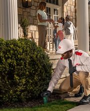 Orkin image 3