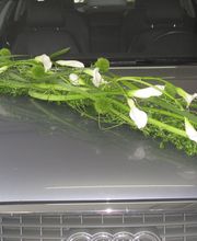 Blumen Kilger Bild 8