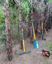 Ent . Dole image 4
