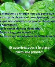 Brossier Corinne Magnétiseur Naturopathe image 8