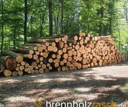 brennholzrasch.de Bild 4