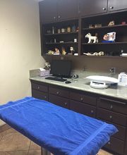 Beach City Animal Hospital image 2