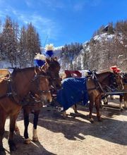 Clalüna-Sils Kutschenfahrten Bild 3