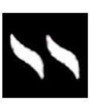 Cocchi Onoranze funebri Sagl Bild 3