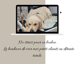Douceur Canine image 1