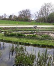 Saget Jean-Luc image 17