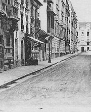 Savinianne image 3