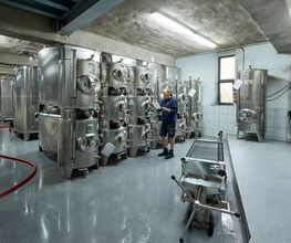 Weingut Hubertus M. Apel Bild 9