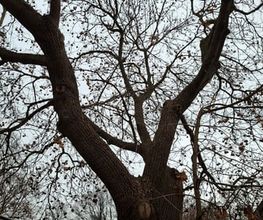 WEGA Garten & Landschaft Bild 7
