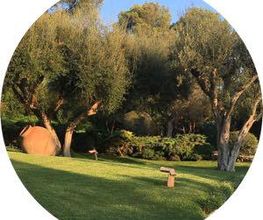 mantenimiento-jardines.jpg