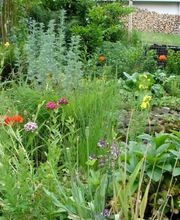 Einziggartig Gartenbau GmbH Bild 4