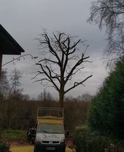 Nature Domestiquee image 5