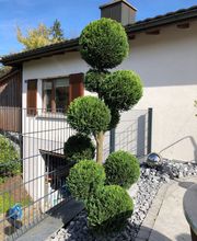 Brühlmann Liegenschaftenbetreuungen GmbH Bild 10