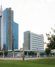 Occidental Murcia Agalia imagen 5