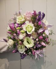 Blumen Fleischli Bild 3