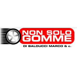Non Solo Gomme logo