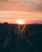 Bill Head Funeral Homes & Crematory/ Lilburn Tucker Chapel image 11