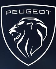 PEUGEOT GARAGE AUTOMOBILES DU LIÉ AGENT image 3