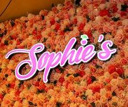 Sophie’s afbeelding 19