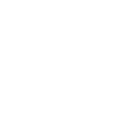 Master Car detailing logo