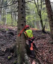 Forstbetrieb Blackforest Bild 4