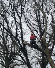 Gwezenn Elagage SARL image 12