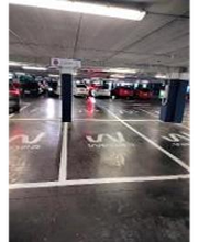 Wenea imagen 10