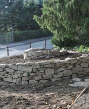 Pflanzen und Gartengestaltung Nienhaus Bild 3