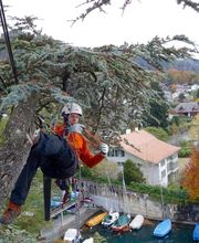 Baummensch GmbH Bild 5