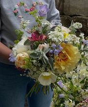 Toad Hall Flowers image 1