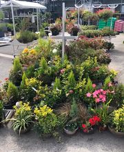 Bricomarché Romilly Sur Seine image 7