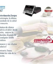 clinica-veterinaria-zarpa-laserterapia-2.jpg