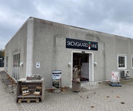 Skovgaard Vine billede 2