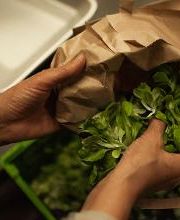 Frischmärit Bichsel (Blumen, Früchte & Gemüse) Bild 19