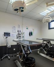 Clinique vétérinaire du Mas - Pamiers - Sevetys image 6