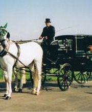 Köchli Heinrich Bild 9