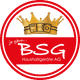 BSG Haushaltgeräte AG