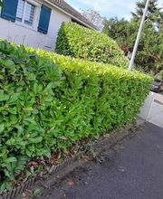 Cumbres Espace vert image 9