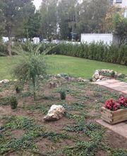 DOGS Training Bild 2