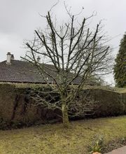 AlexJardin image 13
