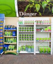 Blumen Brügger Bild 9