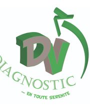 DV DIAGNOSTIC image 1