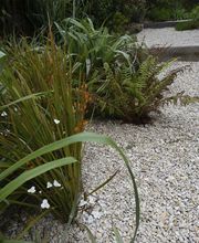 Emeraude Jardins image 13