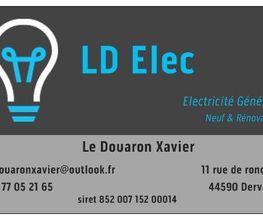 LD Elec image 2